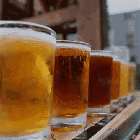 beer gifs|beer chugging gif.